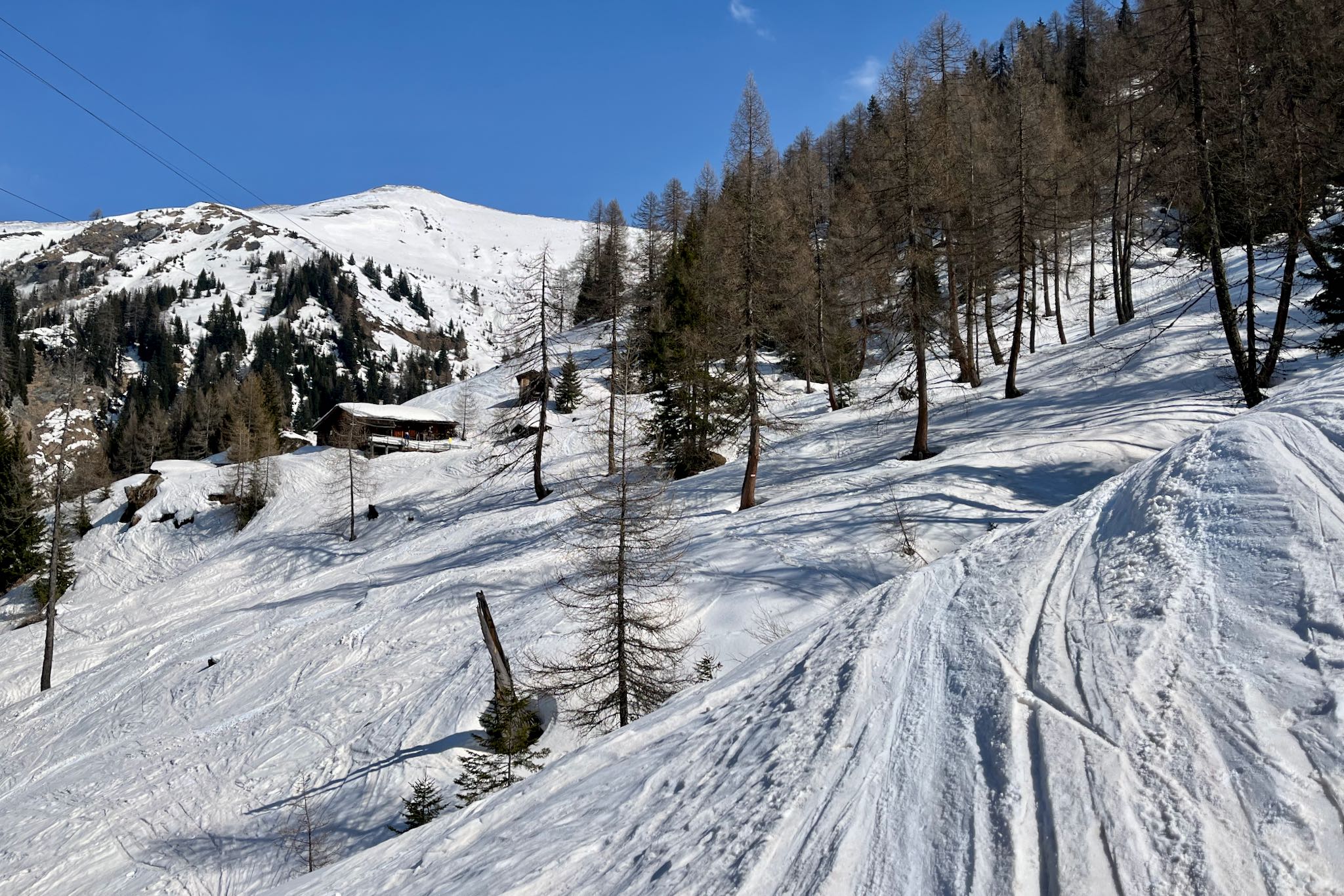 Karteisalm Lärchenwälder © Gipfelfieber